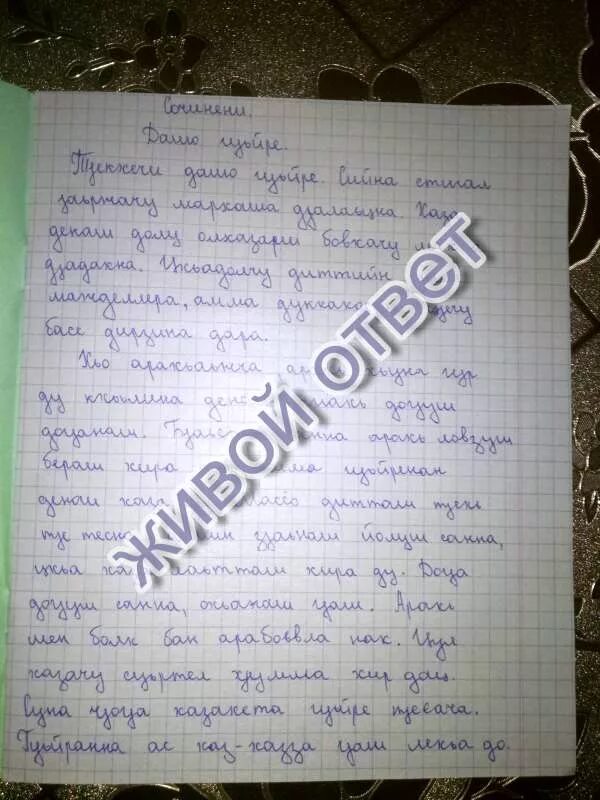 Чеченский изложение. Сочинение на чеченском. Сочинение на чеченском языке. Сочинение по чеченскому. Сочинение по чеченскому языку.