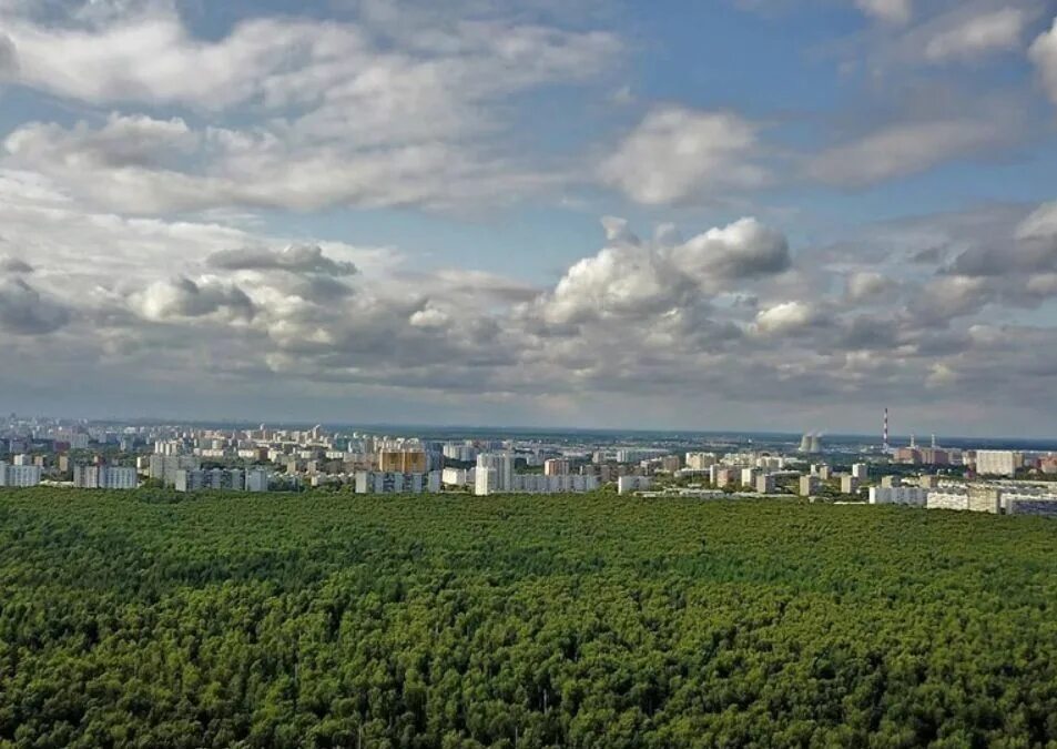 Лосиноостровский парк купить. Лосиноостровский парк Москва. Парк Лосиный остров Метрогородок. ЖК Лосиноостровский парк. ЖК Лосиный остров.