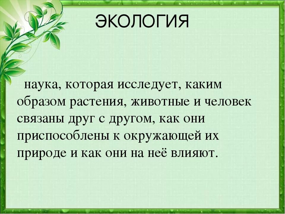 Экология для детей начальной школы. Стихи по экологии.