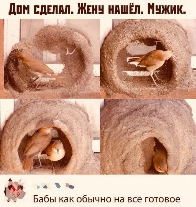 Также не бывает. Также не бывает