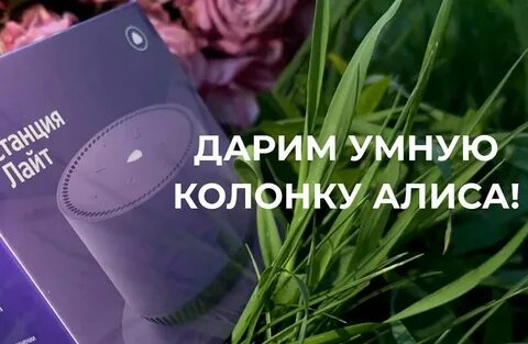 Умная колонка алиса оплата
