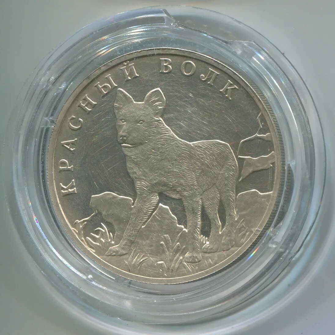 1 руб 2005 г. Монета с красным волком. красный волк 1 рубль. монета с красным волком 1 рубль. монета с изображением красного волка.