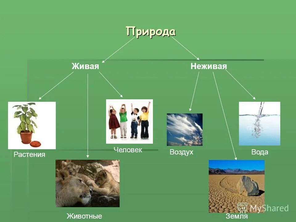 Живая и не мивая природа. Неживая природа. Окружающий мир Живая и неживая природа. Человек и неживая природа. Неживое природное тело