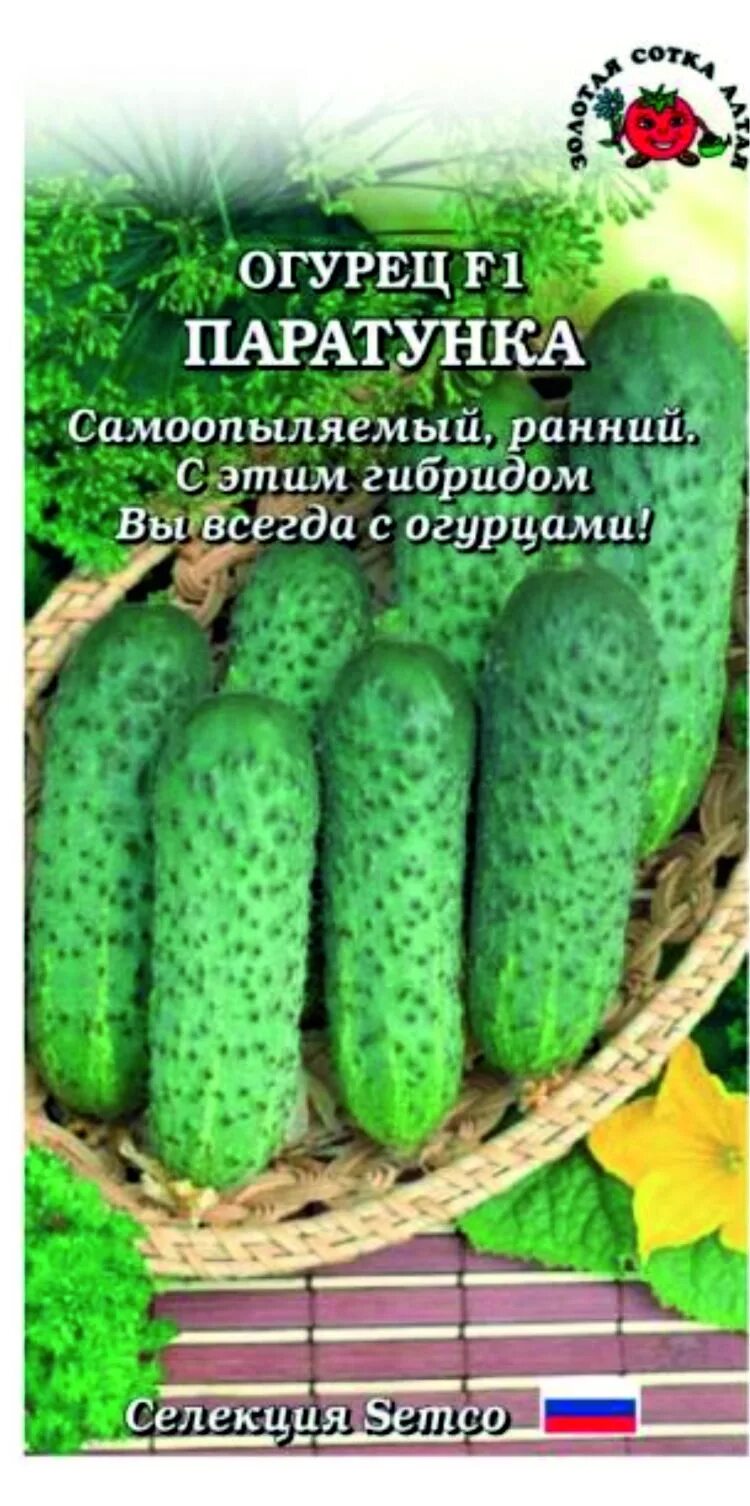 Сорт паратунка огурец. Огурец паратунка f1. огурцы сорт паратунка. огурец паратунка f1 10шт семко. огурец паратунка f1 5шт партнер.