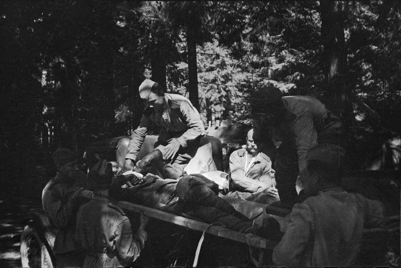 Выносят раненых. Сортировка раненых вов 1941-1945.