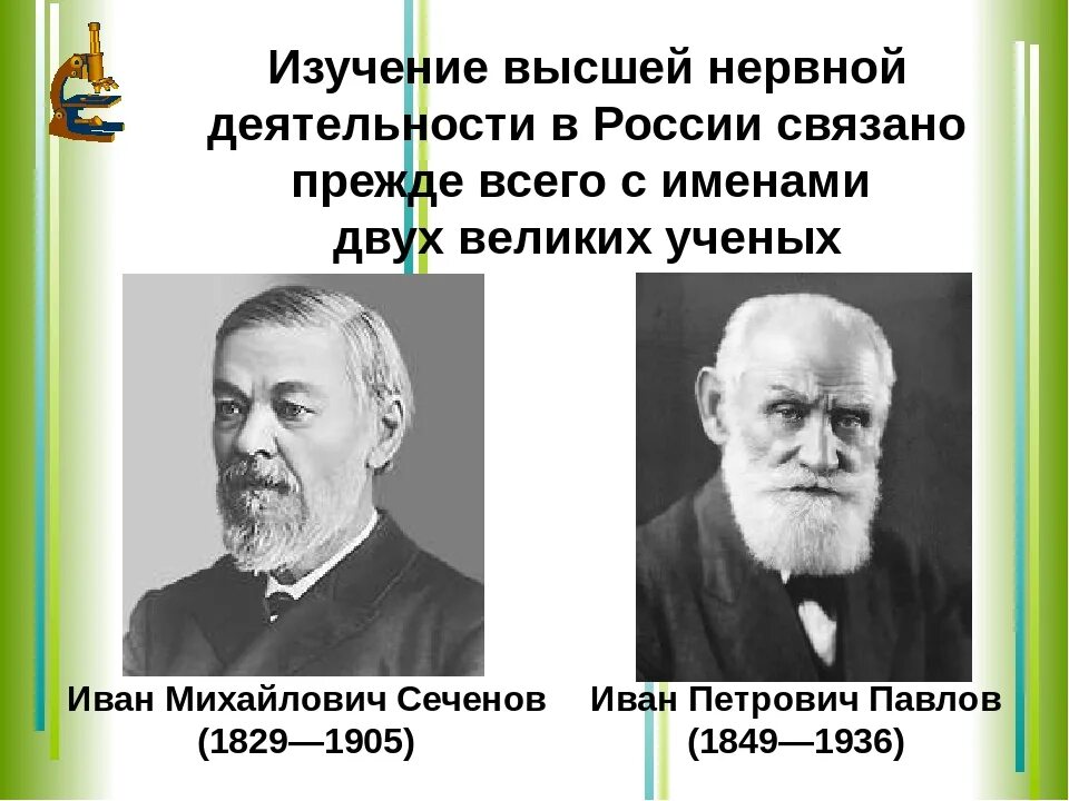 Примеры иллюстрирующие достижения отечественных ученых. Учение Сеченова и Павлова о высшей нервной деятельности. Высшая и Низшая нервная деятельность и.м.Сеченов и.п.Павлов. Павлова вклад в изучение ВНД. Вклад Павлова и Сеченова в изучение ВНД.