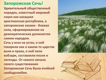 Быт запорожской сечи