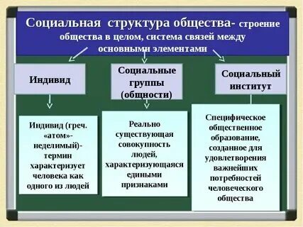 Основа общества примеры 6 класс
