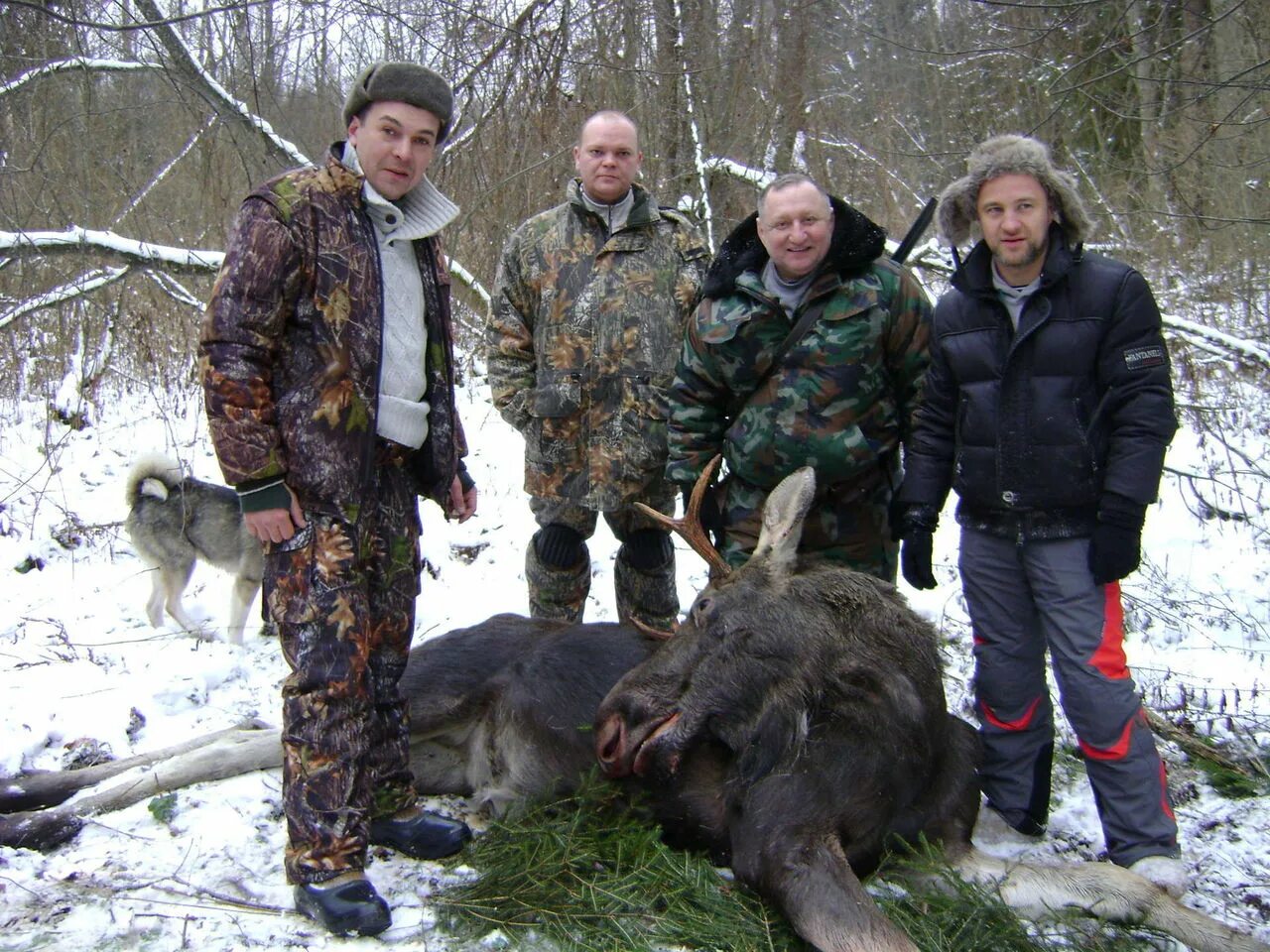 Охотхозяйство выжники смоленская обл. Охота на кабана лося в смоленской области. Охотхозяйство тайга смоленская область сычевский. Охота на кабана в костромской области. Охотхозяйство староселье в смоленской области.