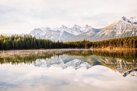 Постер природа