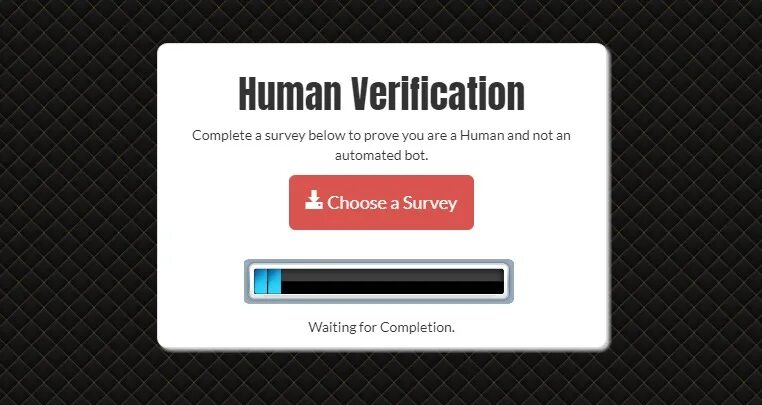 Human verification