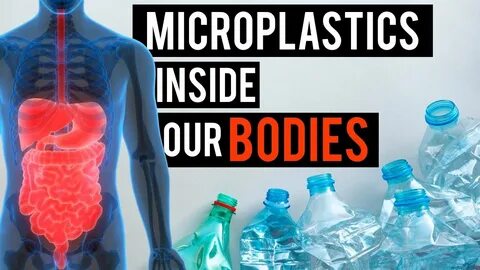 Inside body