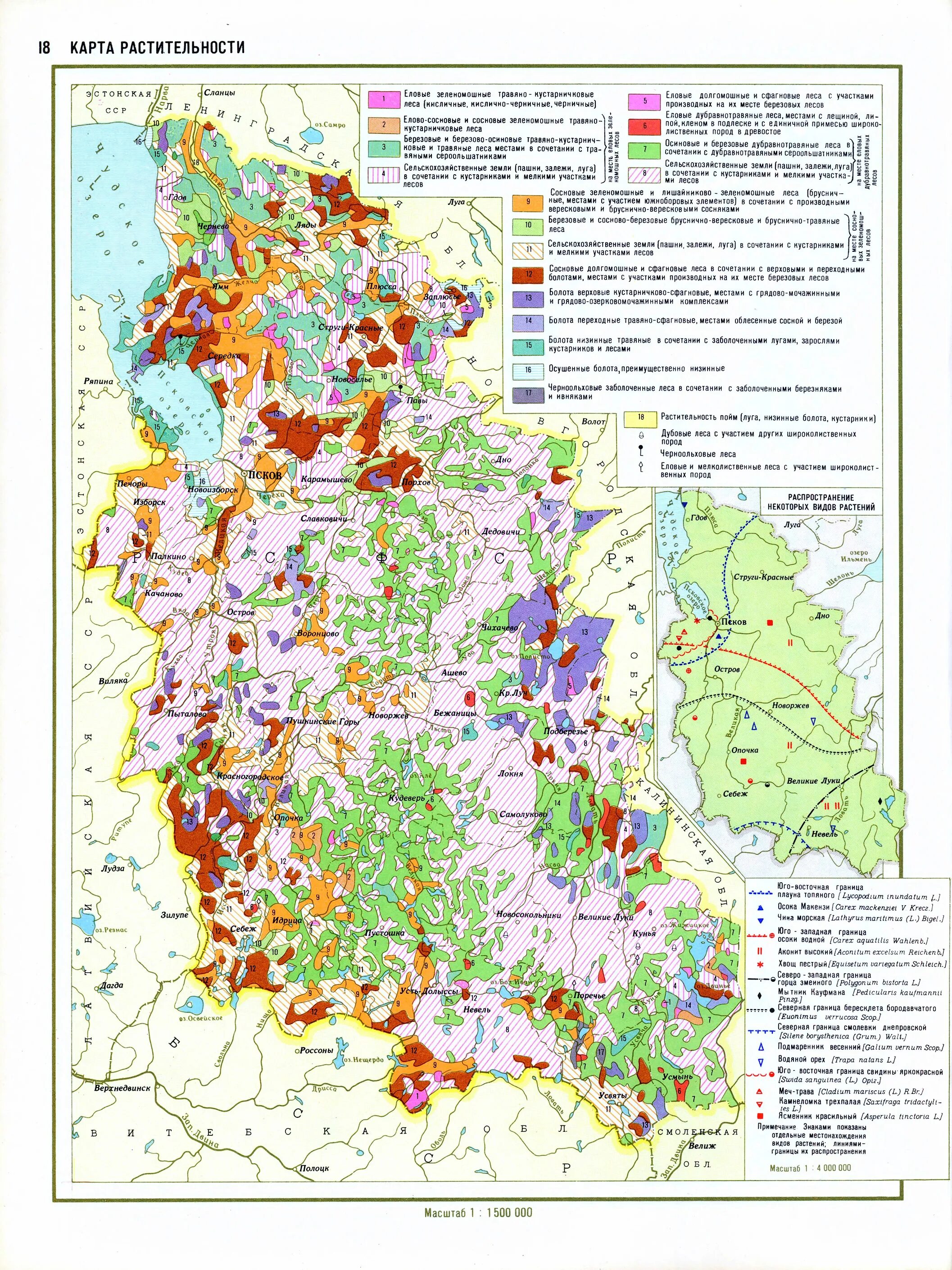 Карта псковской земли. Растительность карта растительности Псковской области. Карта растительности Псковской области. Карта почв Псковской области. Ландшафтная карта Псковской области.