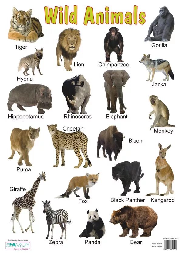 Wild animals тема