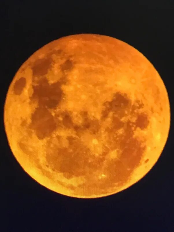 Большая оранжевая луна. Оранжевая Луна. Луна оранжевого цвета. Огромная оранжевая Луна. Апельсиновая Луна.