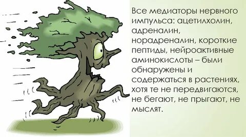 Бегущие дерево