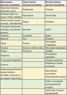 Что садить после перца на следующий