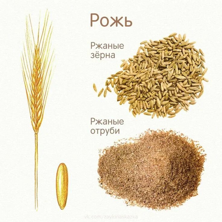 Ржи какое число