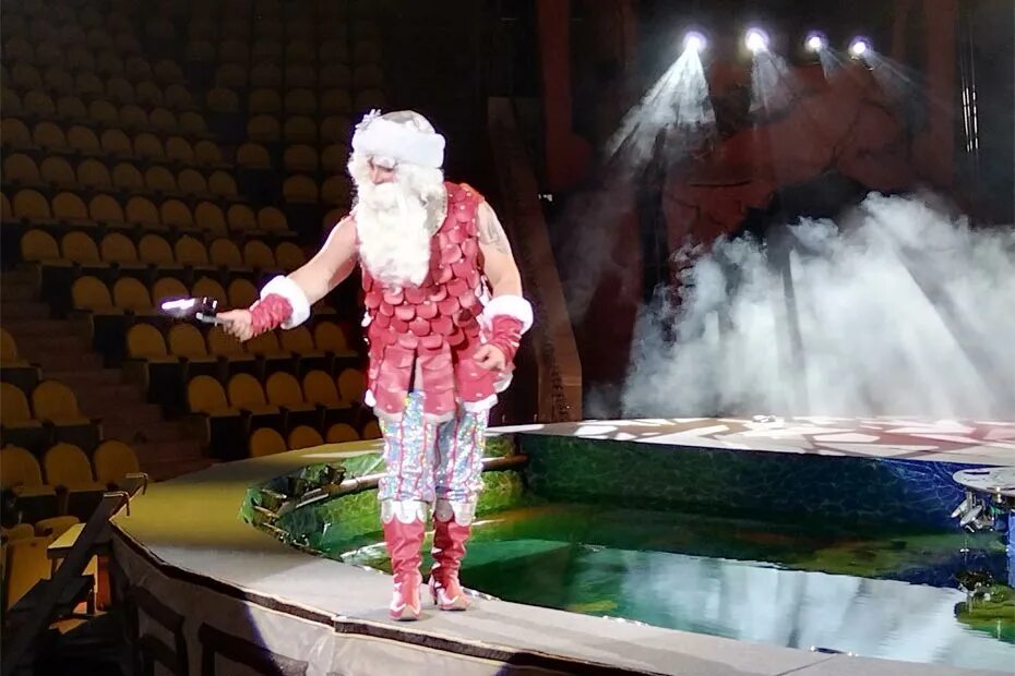 Елка у рязанского цирка. Новогодняя одиссея ростов. Водное шоу одиссея спб. Новогодняя одиссея рязань цирк. Рязанский цирк новогоднее представление.