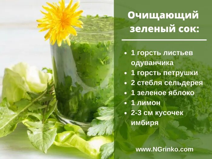 Сок сельдерея натощак утром польза. Сок из одуванчиков. польза зелени. сок из травы и одуванчика. листья одуванчика польза.