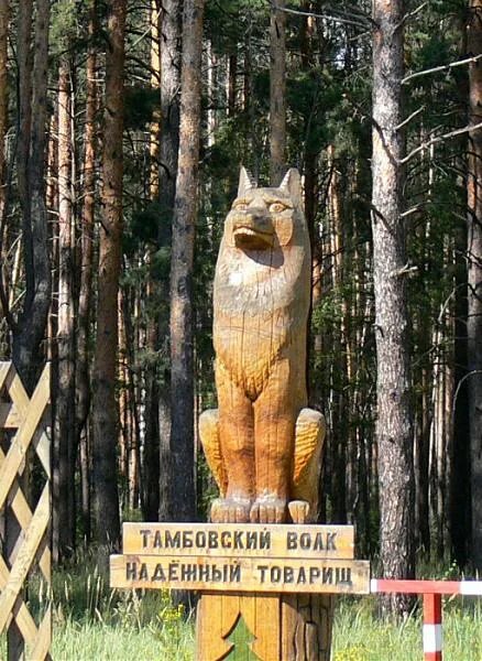 Тамбовский волк скульптура в Тамбове. Памятник волку в Тамбове. Тамбовский волк надежный товарищ. Тамбовский волк памятник в Сосновке Тамбовской. Памятник тамбовскому волку