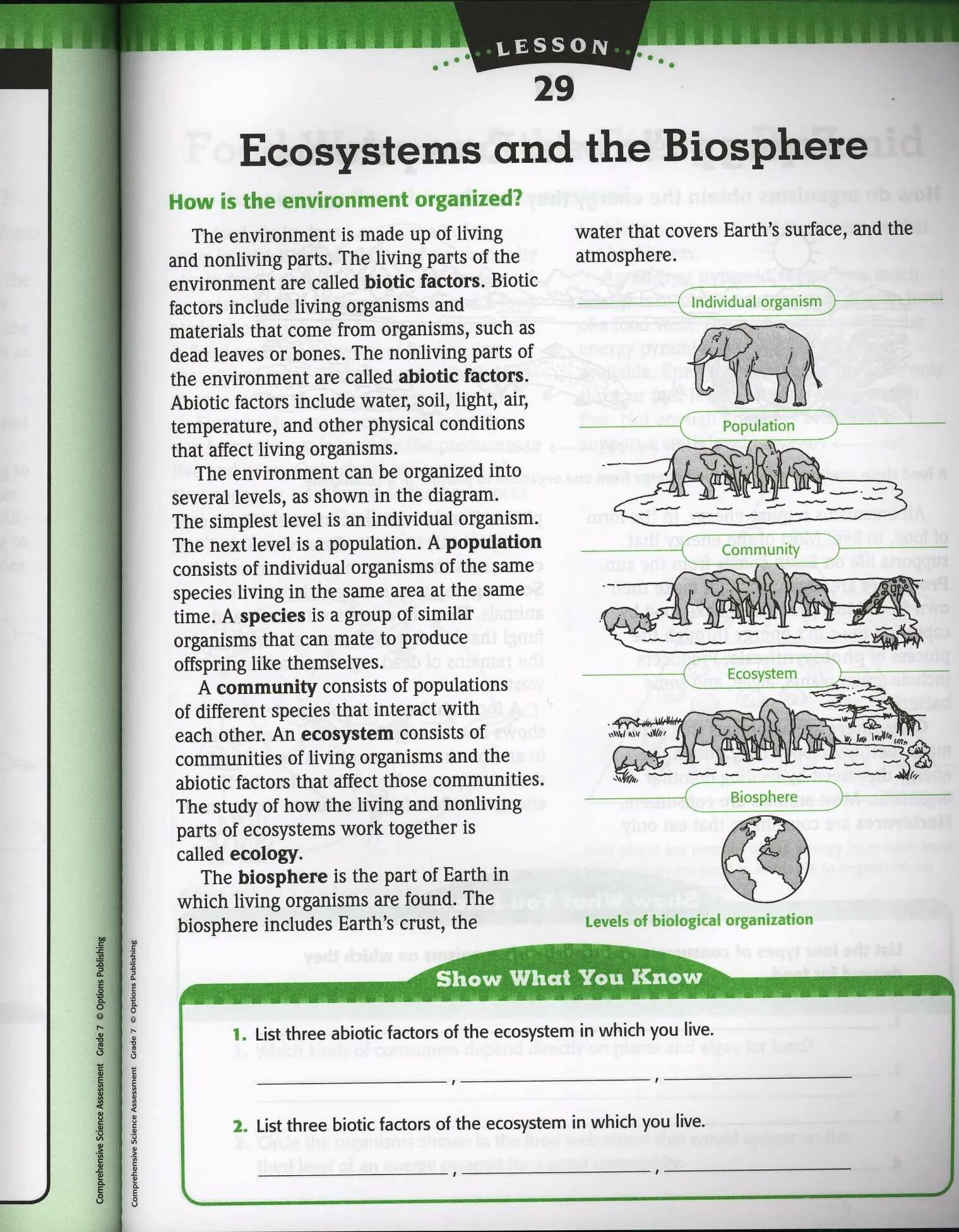 \Worksheet ecological ecology. Ecological Organization Worksheets. Worksheet ecology and environment.