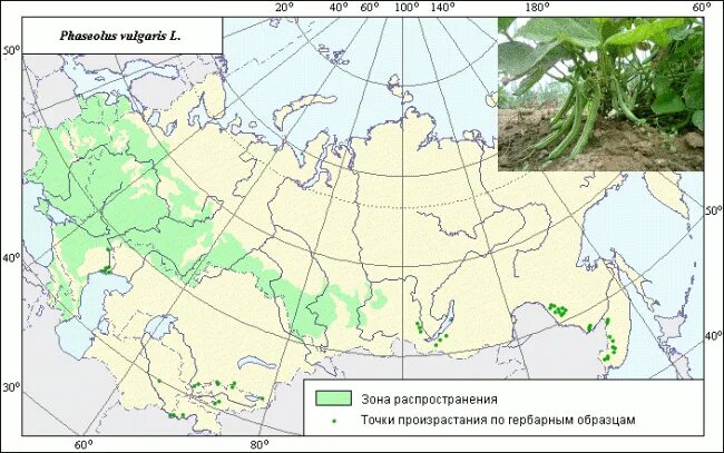 Типы леса и типы лесорастительных условий. Условия мест произрастания. Алоэ климатические условия. Тип условий местопроизрастания и тип леса. Условия произрастания растений.