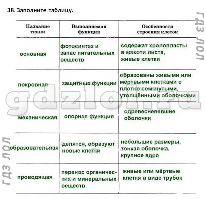 Параграф 17 растительные сообщества. Биология 5 класс Пасечник параграф 10 ткани таблица. Ткани 5 класс биология Пасечник. Биология 5 класс Пасечник таблицы. Таблица по биологии растительные ткани 10 класс.