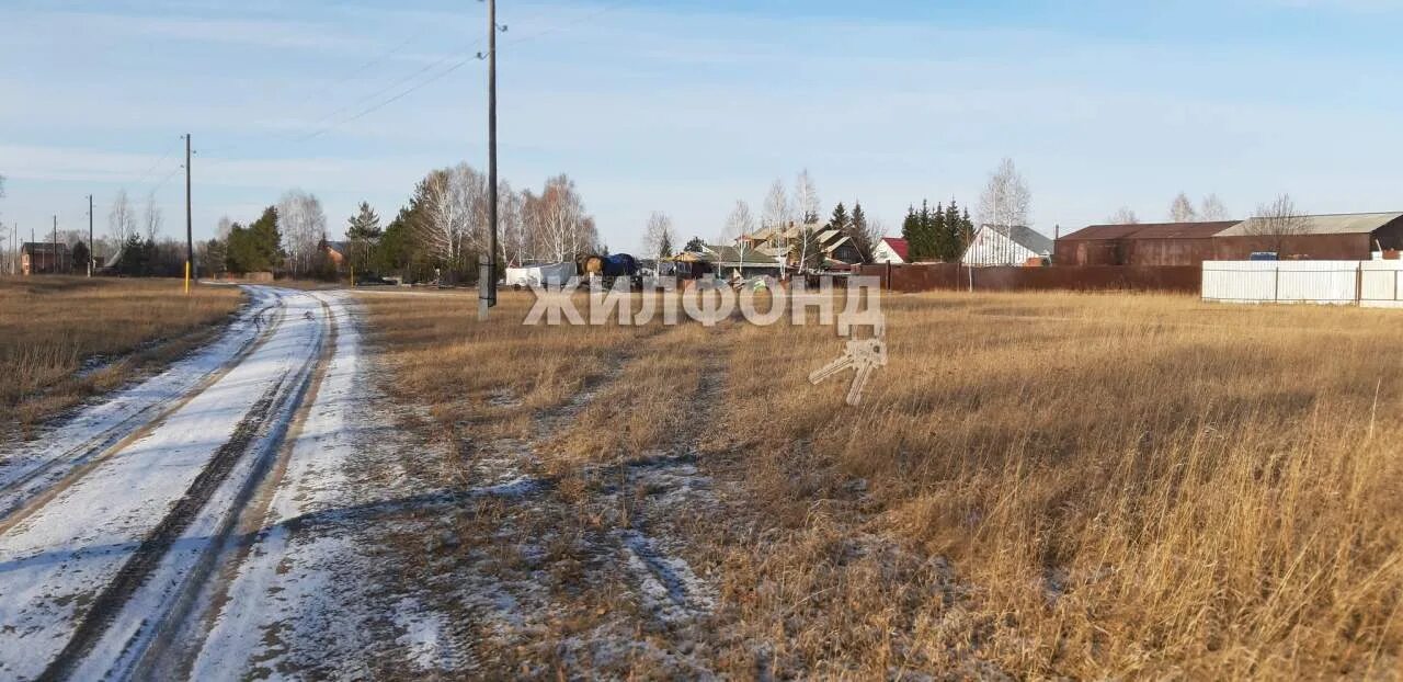 Старый шарап. Новый Шарап Ордынский район. Деревня новый Шарап Новосибирская. Новый Шарап Церковь. Деревня новый Шарап улица Пушкина.