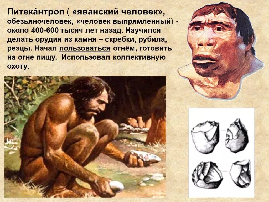 Почему одного из предков назвали человеком умелым. Питекантроп синантроп период. Начало истории человечества. История первобытных людей. Древний человек.