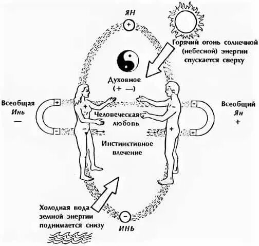 Энергия между бывшими. Энергия Инь и Янь в теле человека. Энергия Ци схема. Схема циркуляции энергии Ци.