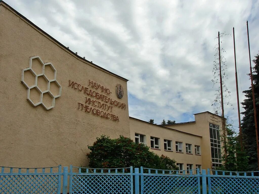 Институт пчеловодства рыбное. Научно-исследовательский институт пчеловодства рыбное. институт пчеловодства в москве. город рыбное институт пчеловодства. федеральный научный центр пчеловодства.