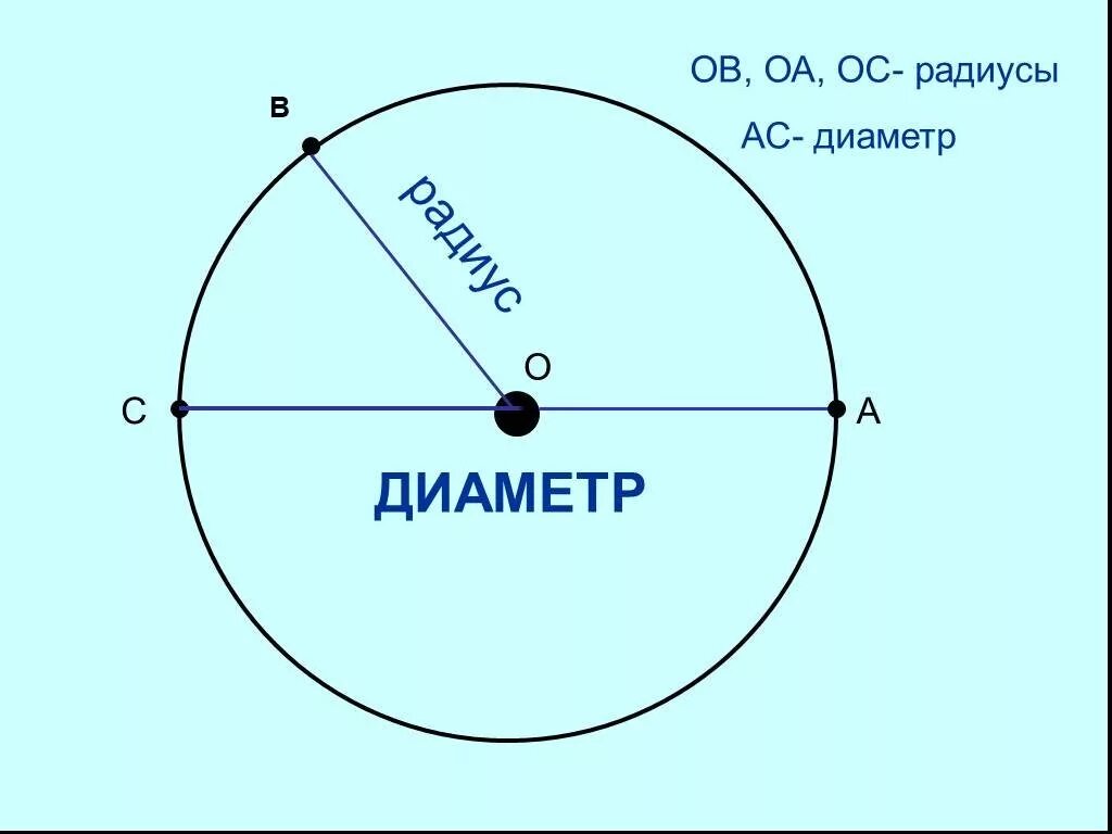 Радиус и диаметр круга. Окружность круг радиус диаметр. Что такое радиус и диаметр окружности 5 класс. Картинки окружности с радиусом и диаметром.