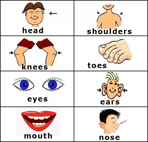 Умные глаза по английски 2 класс. Части тела на английском карточки. Части тела на английском для детей. Карточки с частями тела на английском языке. Карточки по английскому языку для детей части тела.