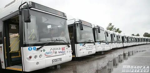 Автобусы вологда новый источник