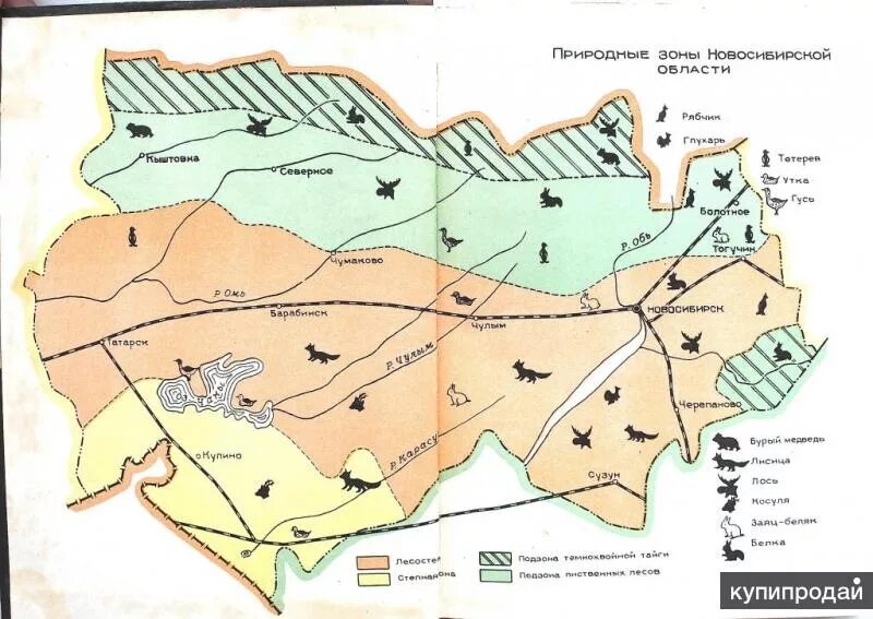 В какой природной зоне расположена новосибирская область. Карта природных зон Новосибирской области. Природные зоны НСО карта. Карта природных зоны Новосибирской обл. Карта природные зоны Новосибирской области карта.