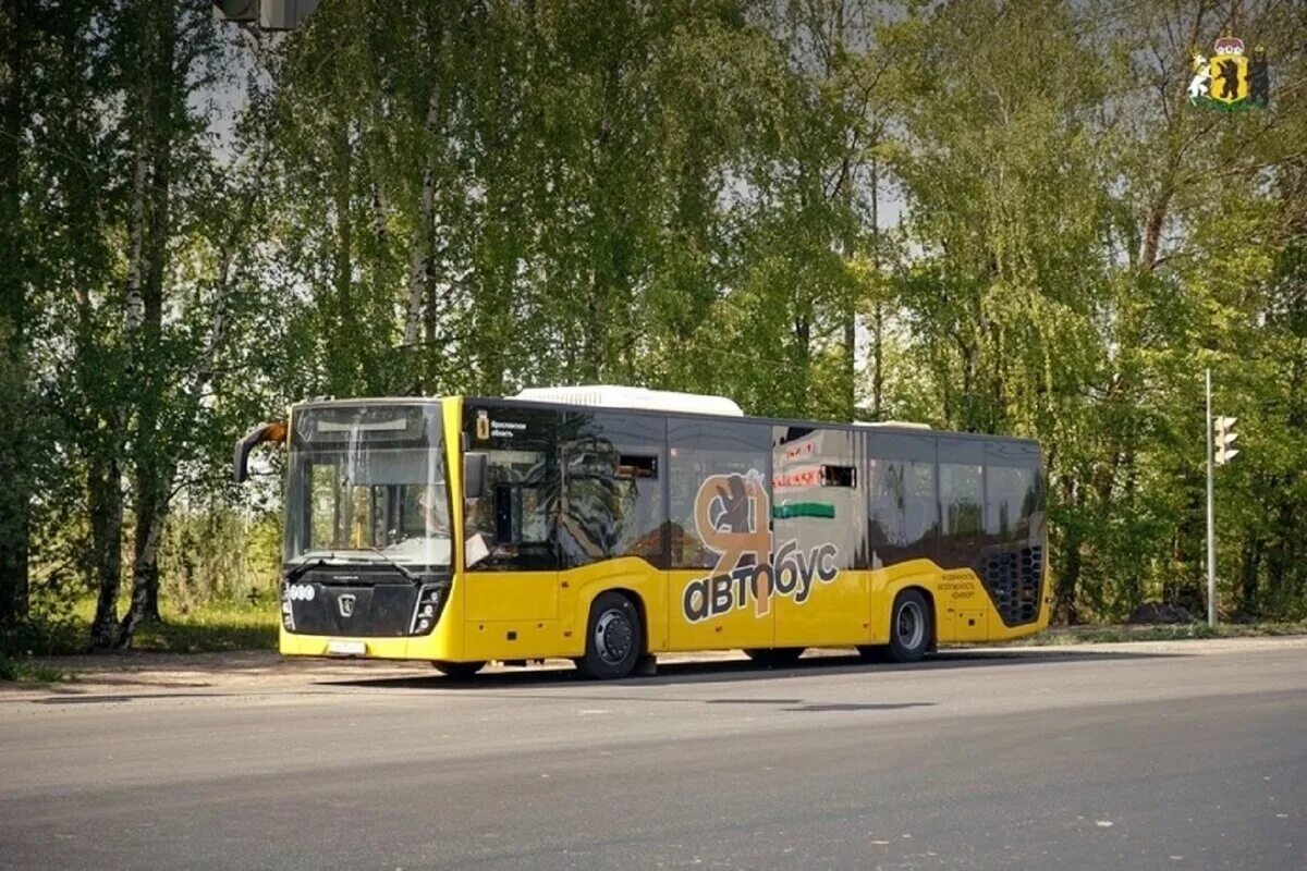 Автобус желтый. Новые автобусы. Ярославский автобус. Желтые автобусы Ярославль. Новые автобусы 2024 ярославль