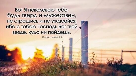 Будь тверд и мужественен не страшись и не ужасайся. Вот я ПОВЕЛЕВАЮ тебе будь тверд. Будь тверд и мужественен стих из Библии. Вот я ПОВЕЛЕВАЮ тебе будь тверд и мужествен не страшись и не.