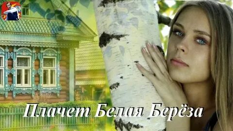 Плачет белая береза