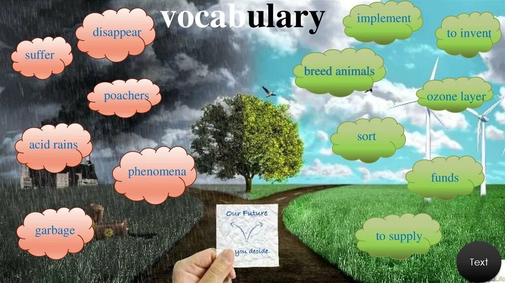 Ecology vocabulary. Лексика по теме экология англ. Вокабуляр по англ Environmental problems. Картинки про экологию на английском языке. Environment слова по теме.