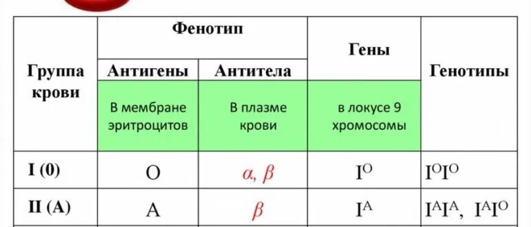 Как записать группу крови. Как обозначают 1 группу крови. Как обозначают 2 группу крови. Как обозначается 2 гр крови. Как обозначается 3 положительная группа крови.