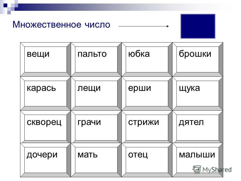 Орудия труда только во множественном числе. Имена существительные только во множественном числе. Существительные только во множественном числе игры. Название инструментов во множественном числе. Множественное число орудие.