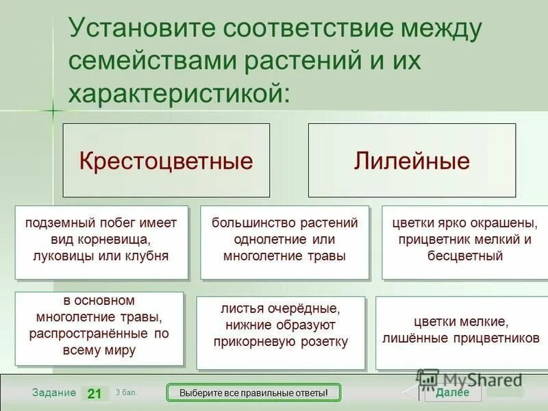 установите соответствие между классами растений и их представители. установите соответствие между растениями и признаками. установите соответствие между семействами признаками растений. установите соответствие между семействами и их представителями. установите соответствие между семействами признаками растений.