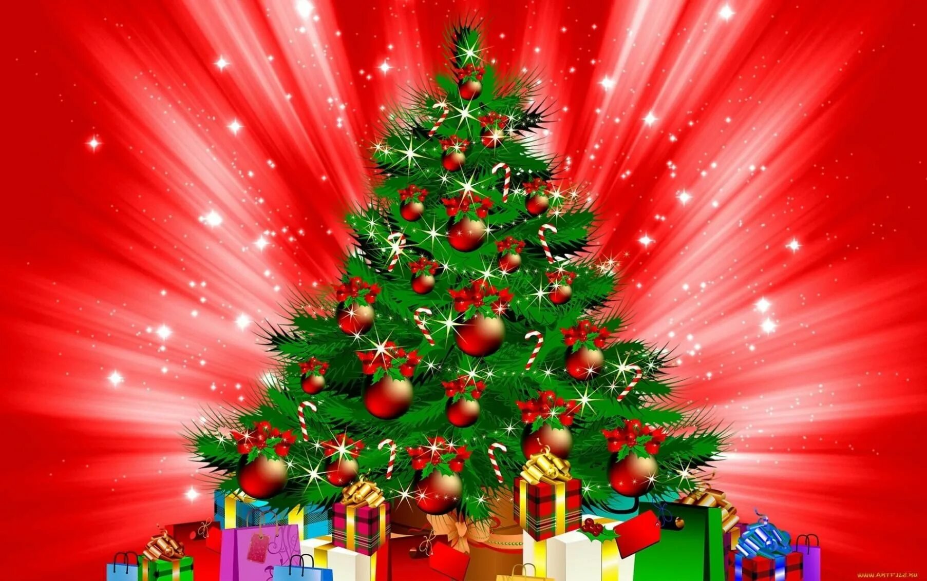 Shining life Merry christmas wallpaper, Christmas tree wallpaper, Christmas ligh