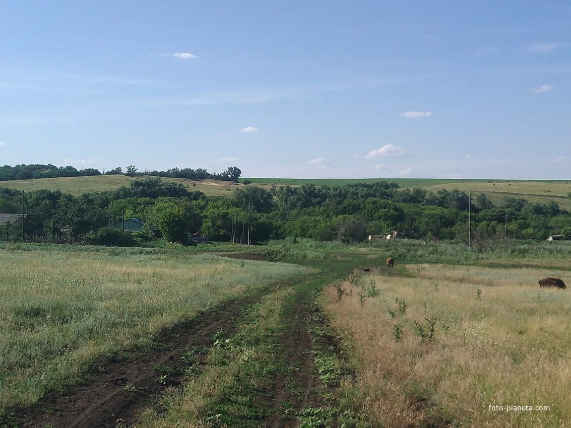 Погода в родничках волгоградской области нехаевского. Хутор Кулички Нехаевский район Волгоградская область. Хутор роднички Нехаевский район Волгоградская область. Роднички Нехаевский район Волгоградской области. Нехаевский район Волгоградской области природа.