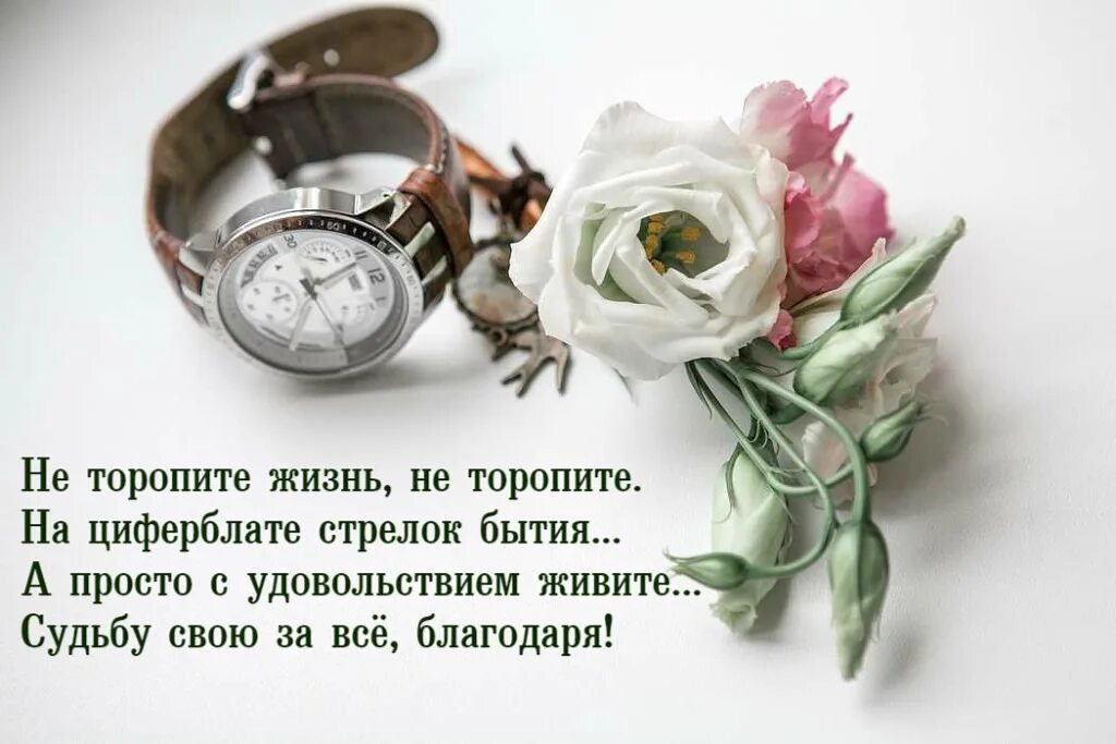 Дня на день свяжет судьбу
