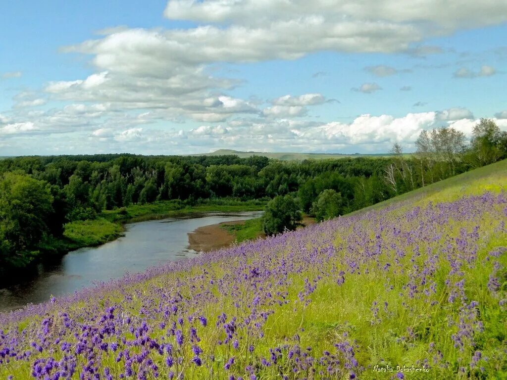 Оренбуржье фото. Оренбургский район природа. Гора Салмыш Оренбургская область. Оренбургская область Сакмарский район природа. Гора палаточная Сакмарский район.