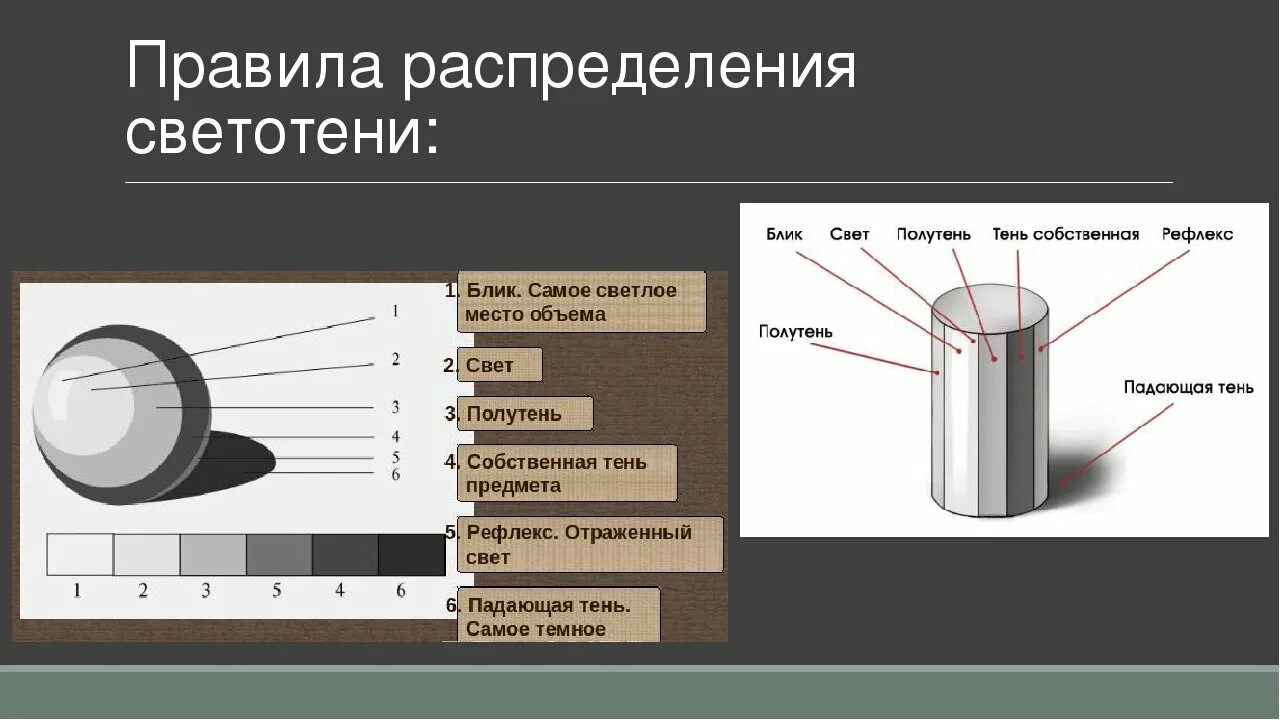 Освещение свет и тень. Светотень на предмете. Светотень в рисунке. Градации светотени в рисунке.