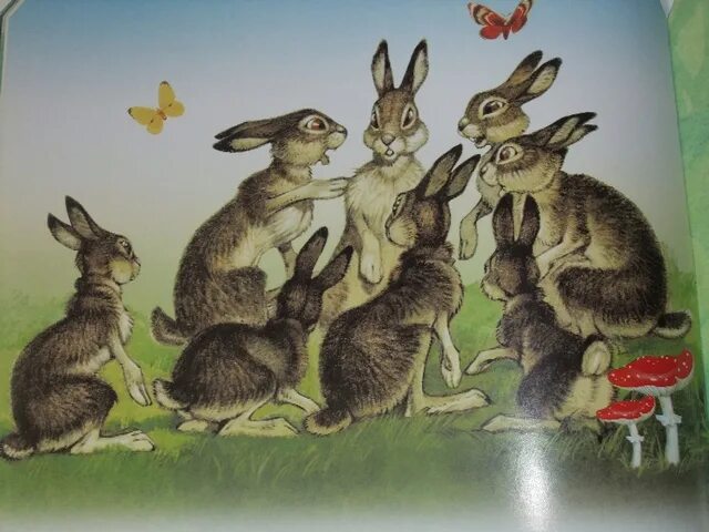 Заяц длинные уши косые глаза короткий. Мамин-Сибиряк заяц-хвастун. Заяц хваста мамин Сибиряк. Храбрый заяц длинные уши. Д.мамин-Сибиряк сказка про храброго зайца.