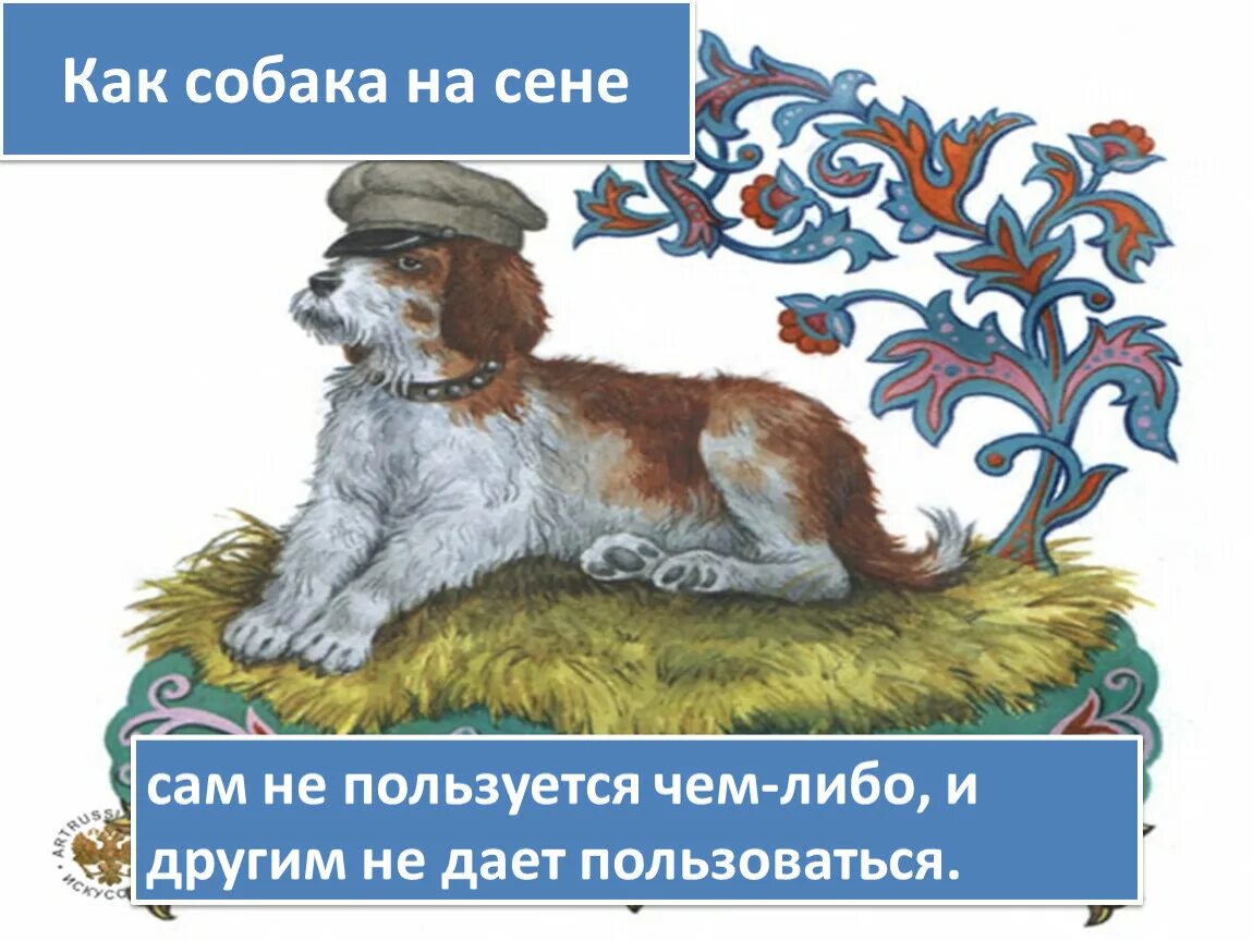 Что значит выражение собака. Собака на сене фразеологизм. Как собака на сене фразеологизм. Фразеологизмы про собаку. Фразеологизм каждая собака знает.